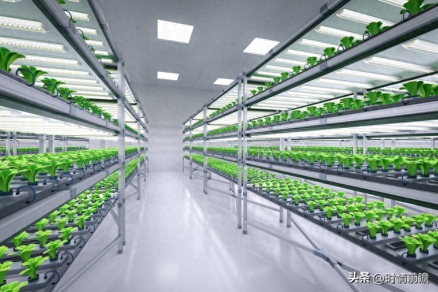 使用Python实现智能农业设备控制与监控