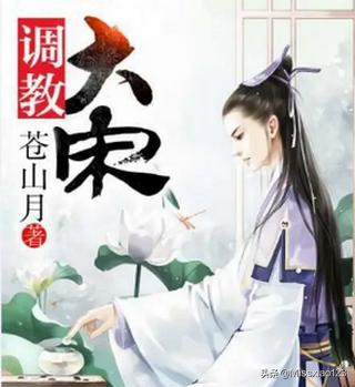 大宋小说排行榜_大宋的小说