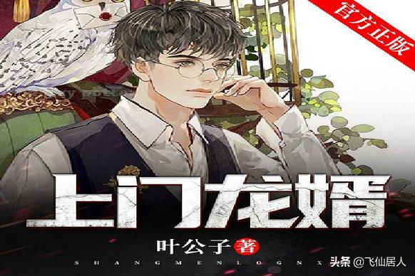 上门龙婿叶辰小说免费阅读_上门龙婿叶辰小说免费阅读无弹窗
