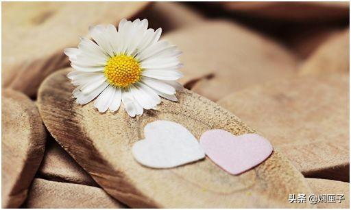 什么样子才是真正的爱情（什么样的爱情算真爱）