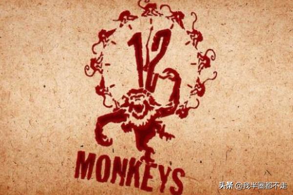 12只猴子第一季在线观看（12只猴子第五季）